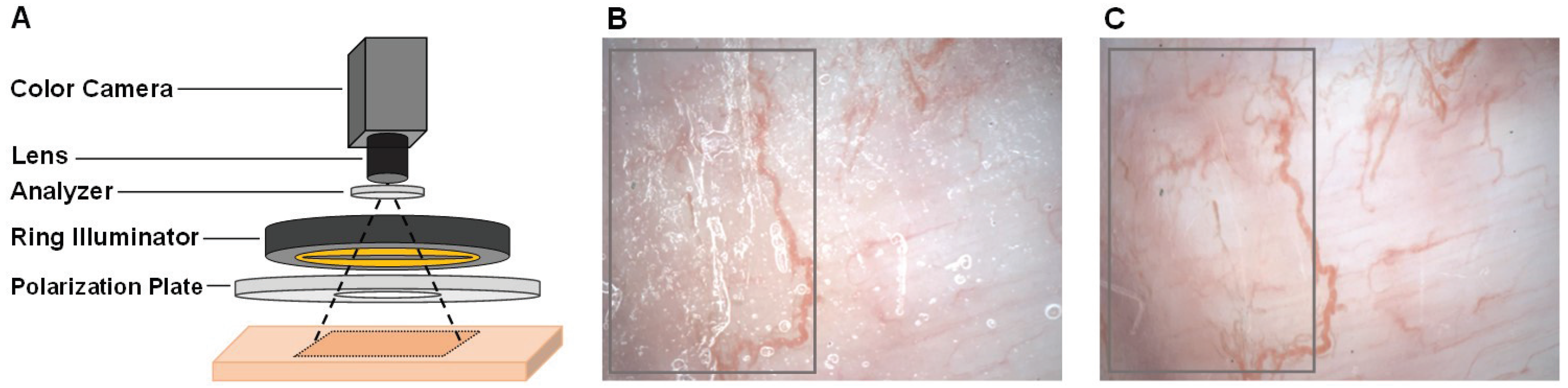 Sensors 22 08471 g001