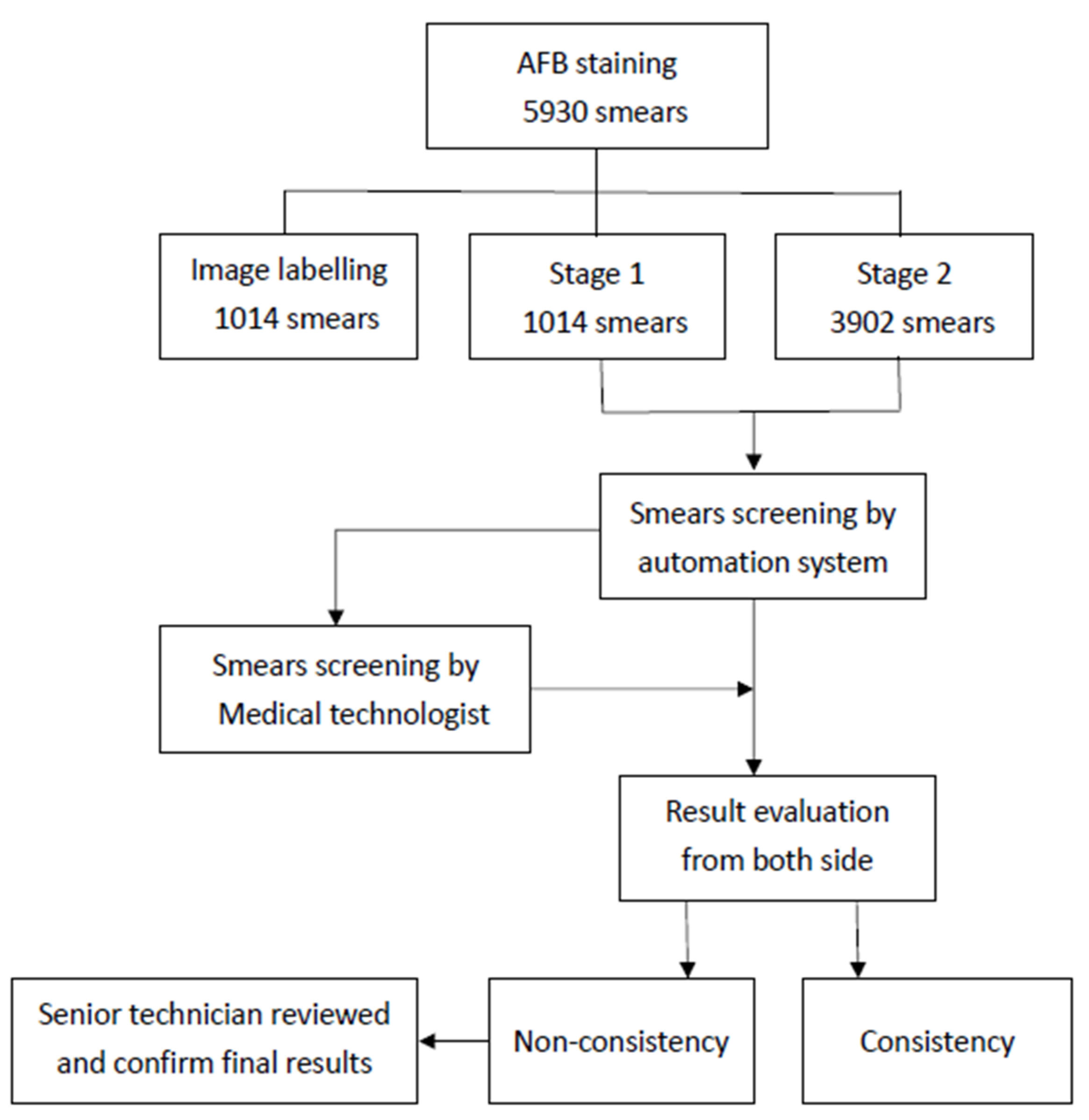 Sensors | Free Full-Text | Evaluation of an AI-Based TB AFB Smear ...