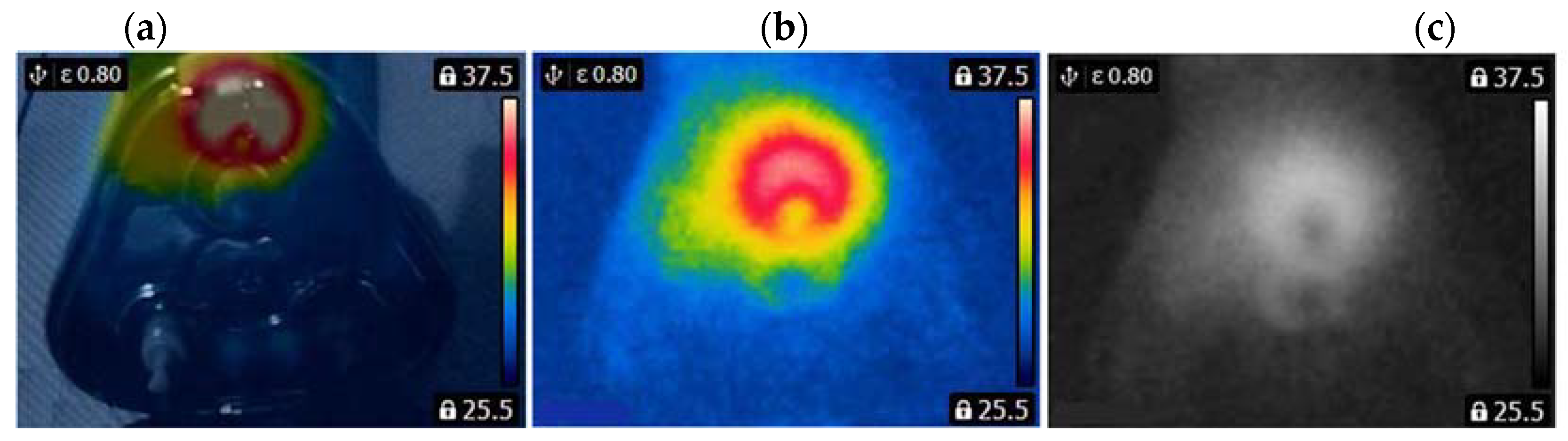 Sensors 22 08537 g004 Sensors 22 08537 g004