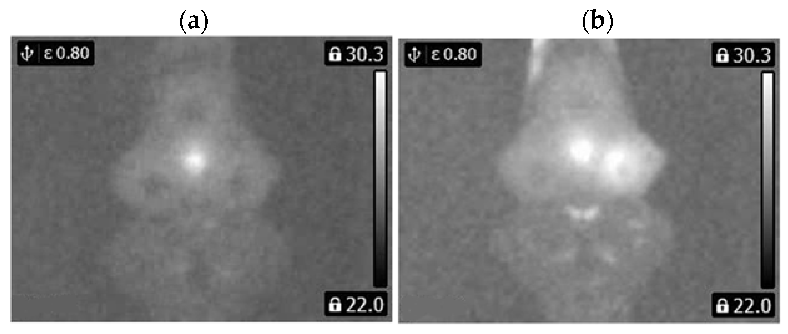 Sensors 22 08537 g007 Sensors 22 08537 g007