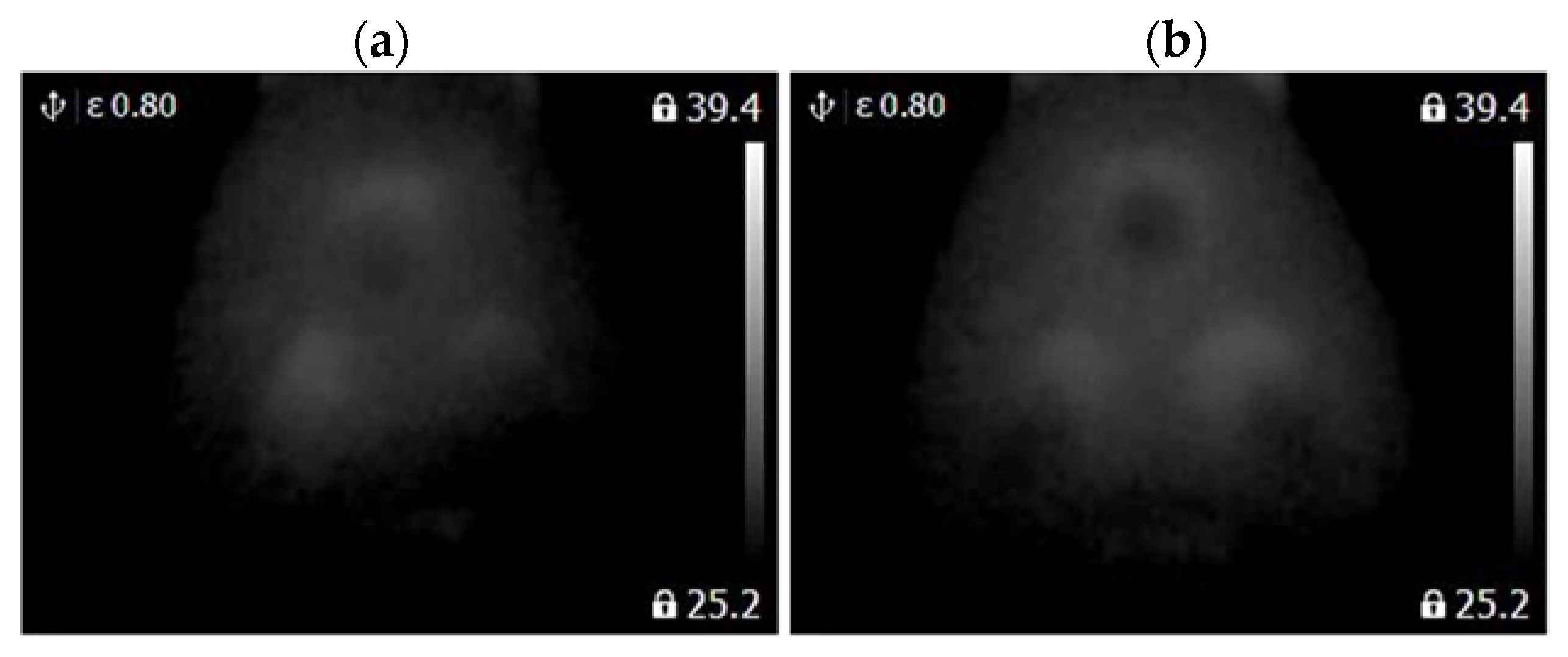 Sensors 22 08537 g010 Sensors 22 08537 g010