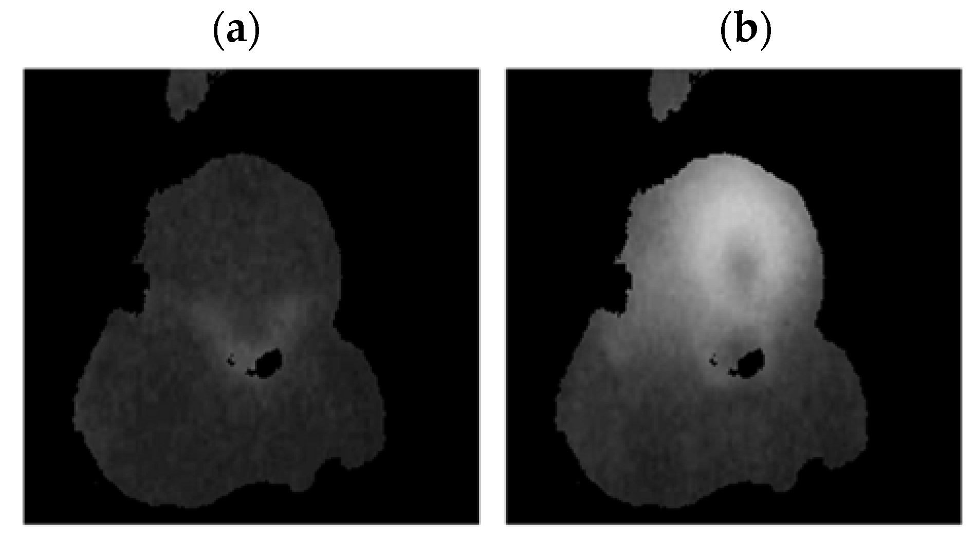 Sensors 22 08537 g013 Sensors 22 08537 g013