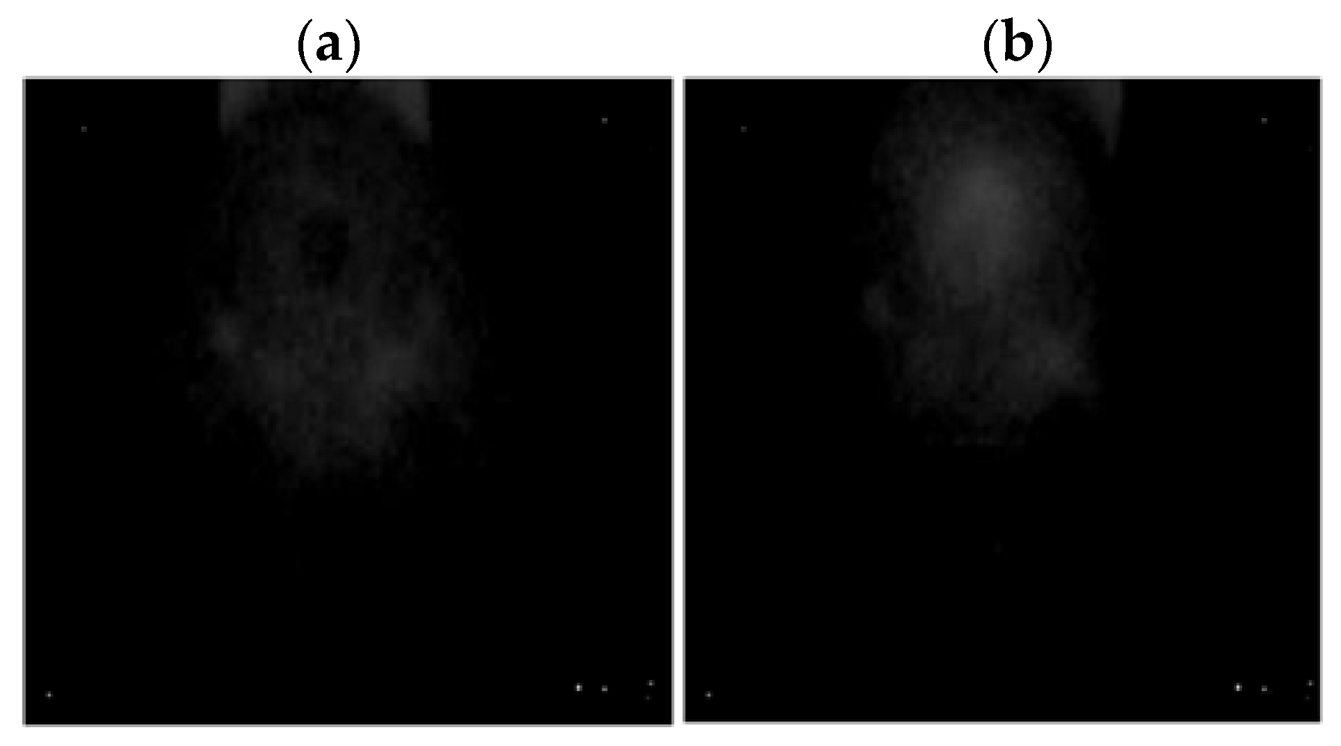 Sensors 22 08537 g017 Sensors 22 08537 g017
