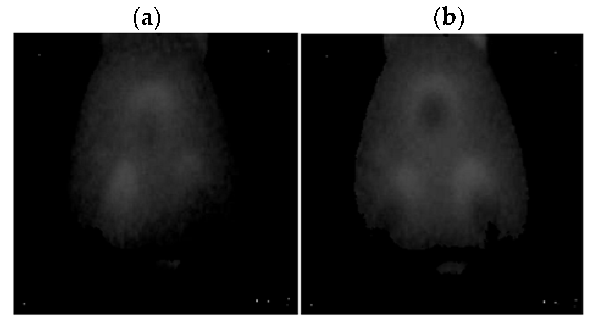 Sensors 22 08537 g018 Sensors 22 08537 g018