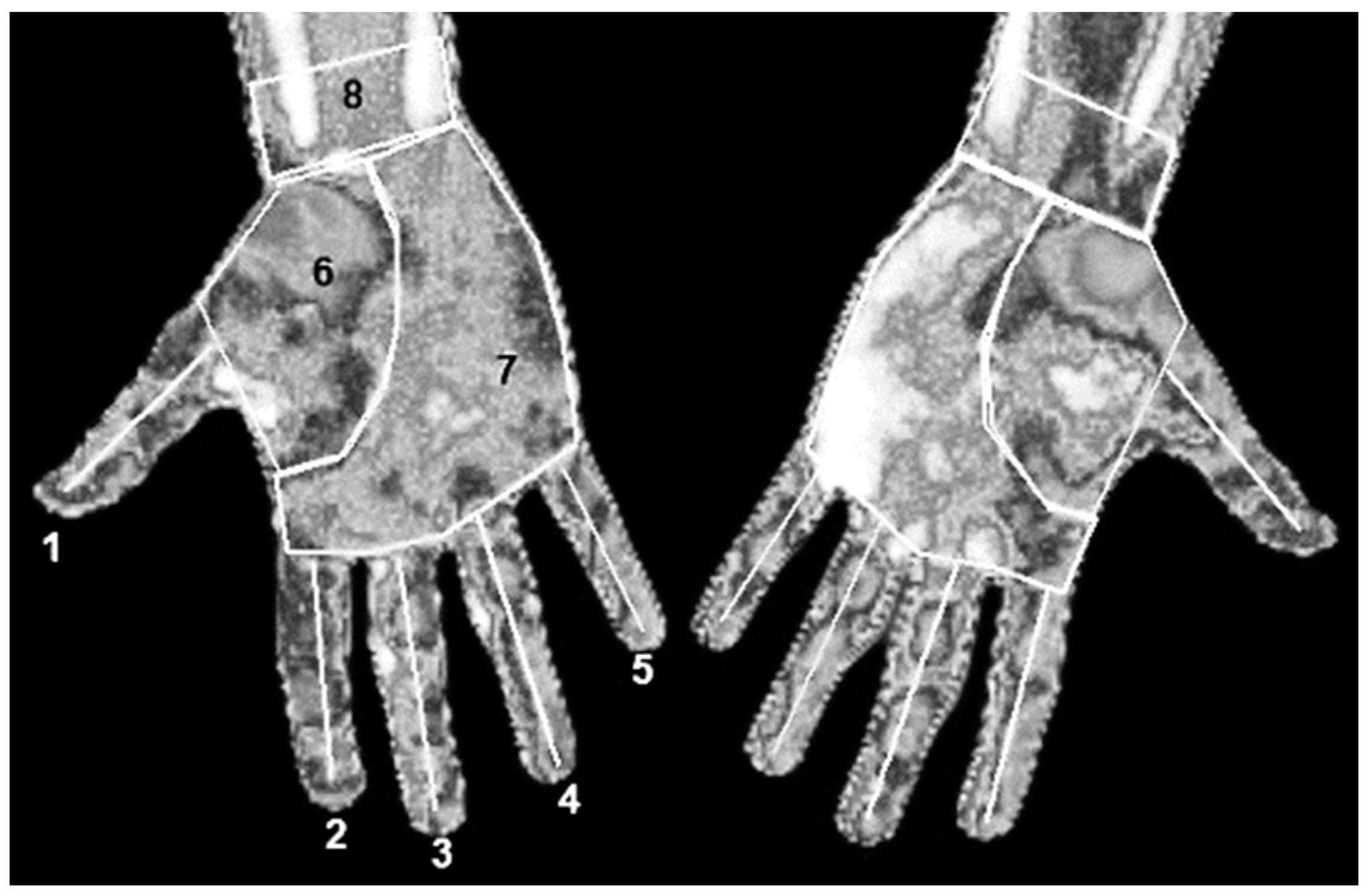 Sensors 22 08572 g002 Sensors 22 08572 g002