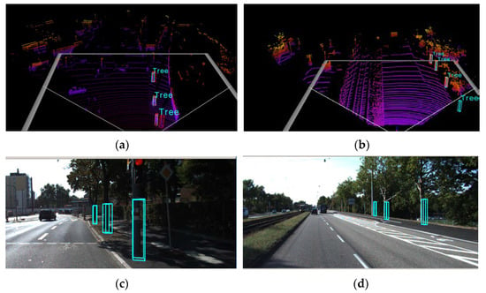 Sensors | Free Full-Text | LiDAR and Deep Learning-Based Standing Tree ...