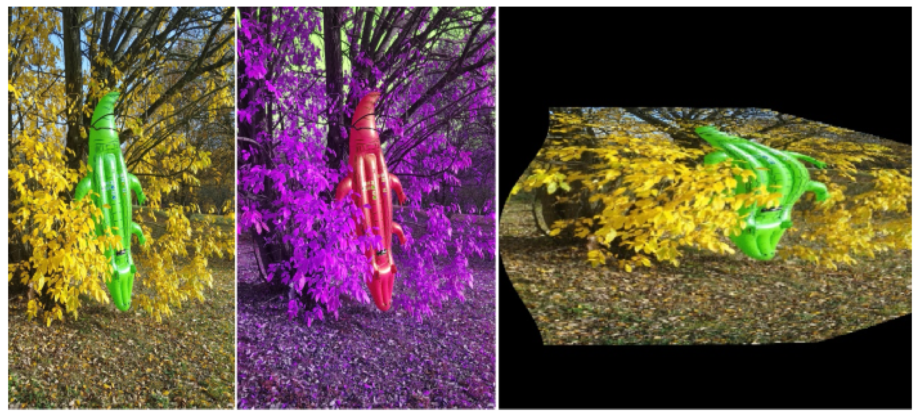 Sensors 22 09080 g004