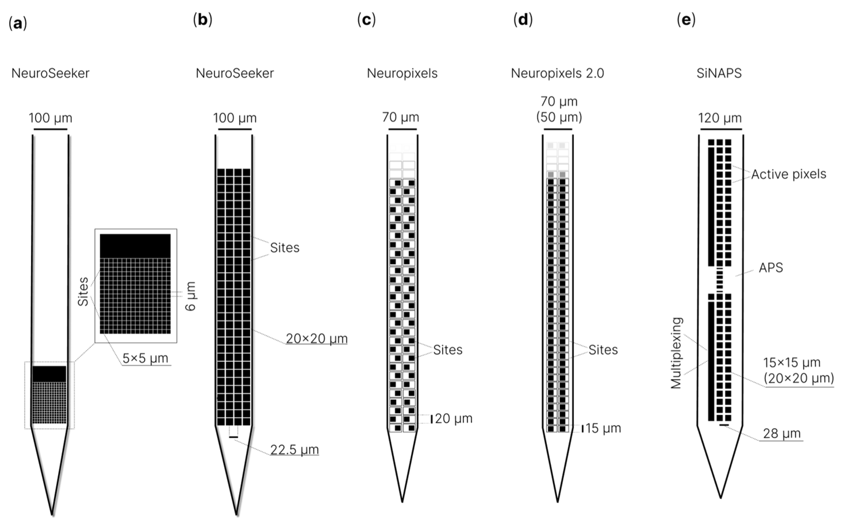 Sensors | Free Full-Text | In Vivo Penetrating Microelectrodes for 