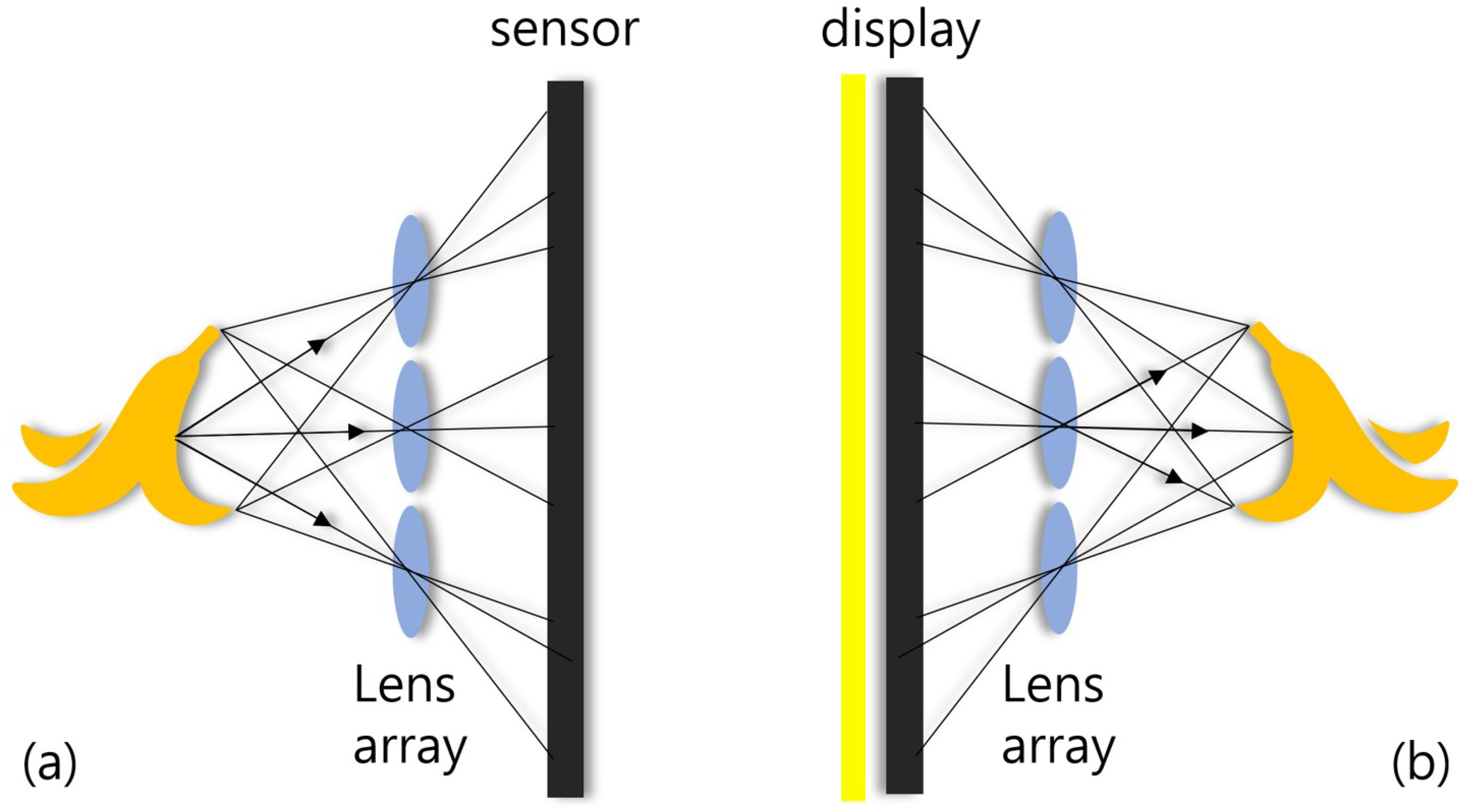 Sensors | Free Full-Text | Three-Dimensional Integral Imaging with Enhanced  Lateral and Longitudinal Resolutions Using Multiple Pickup Positions