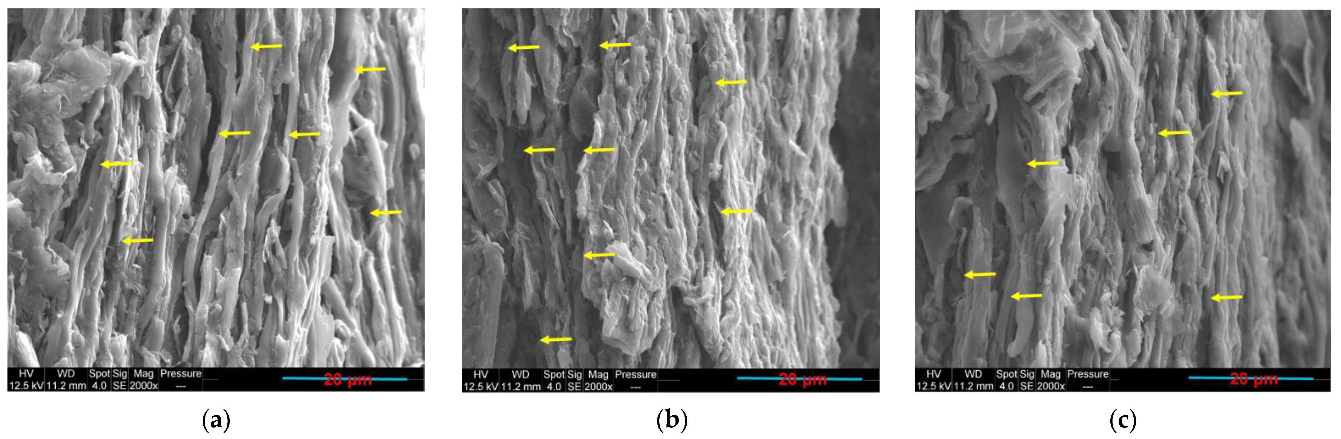 Sensors 22 09231 g015