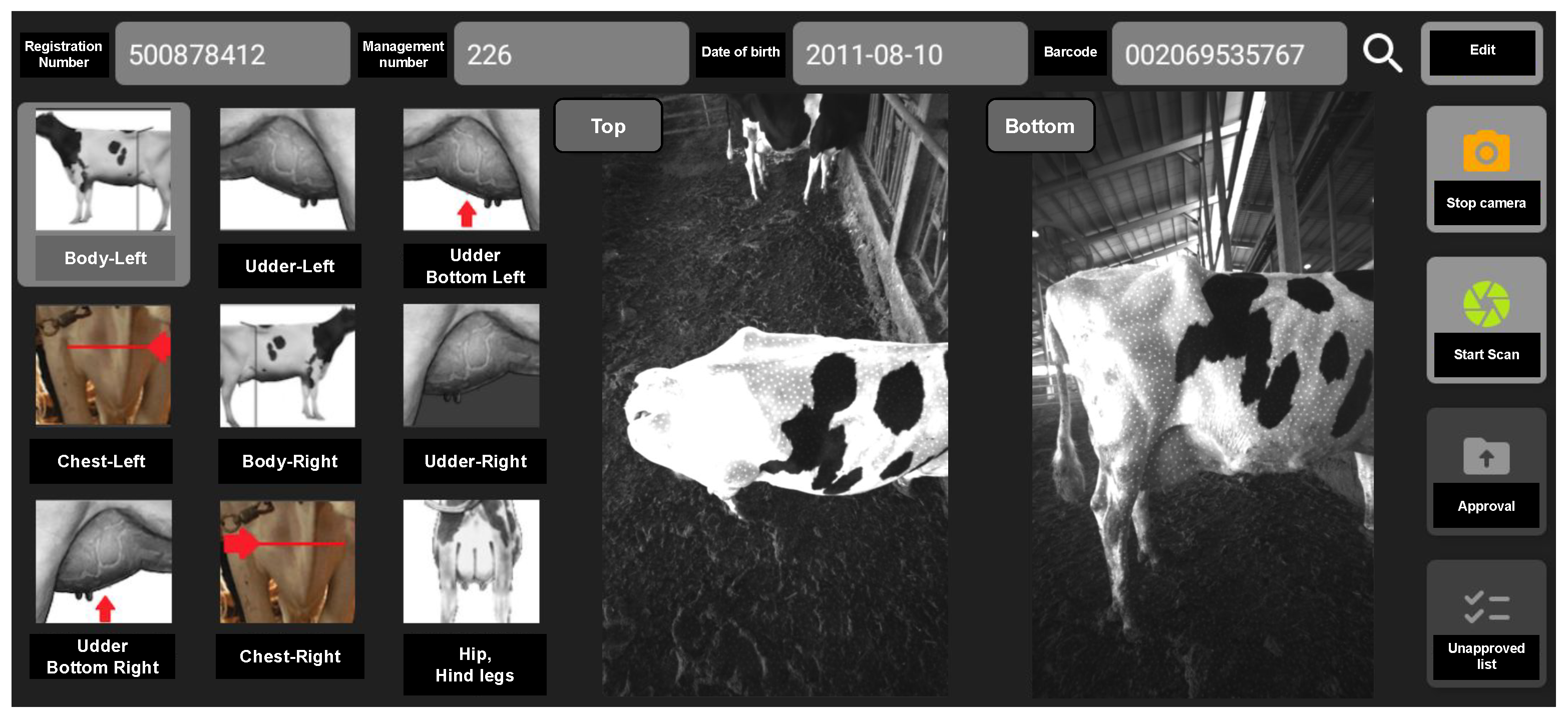 Case Study: Improving The Quality Of Dairy Cow Reconstruction With A ...