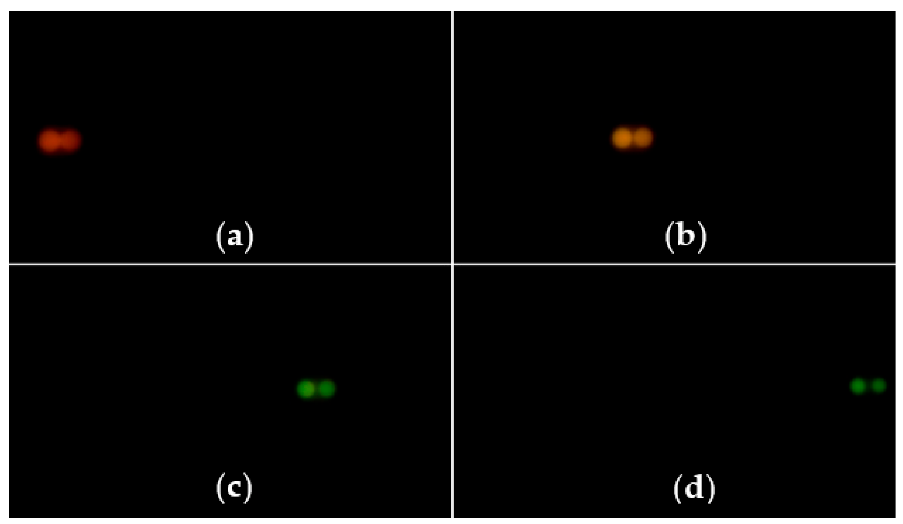 Sensors 22 09596 g020 Sensors 22 09596 g020