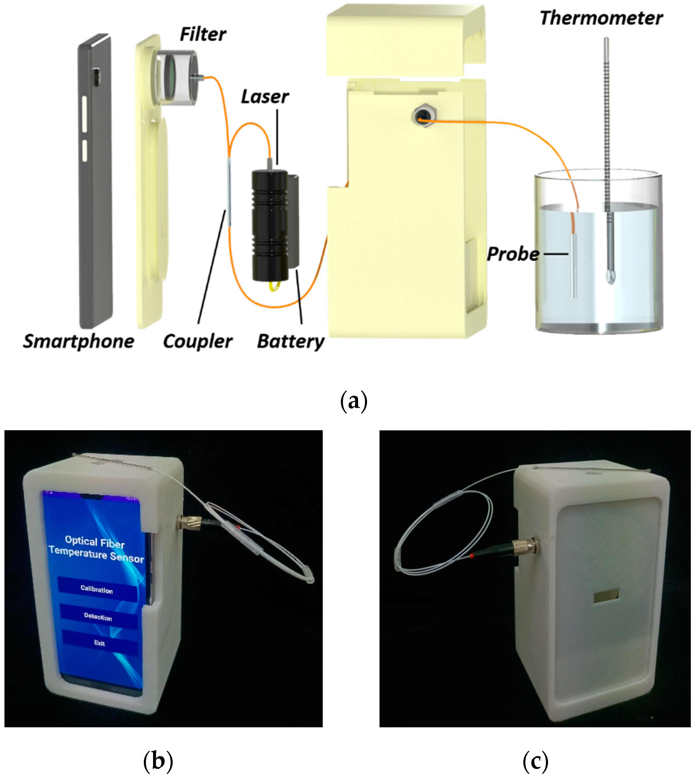 Sensors | Free Full-Text | Smartphone-Based Optical Fiber Fluorescence ...