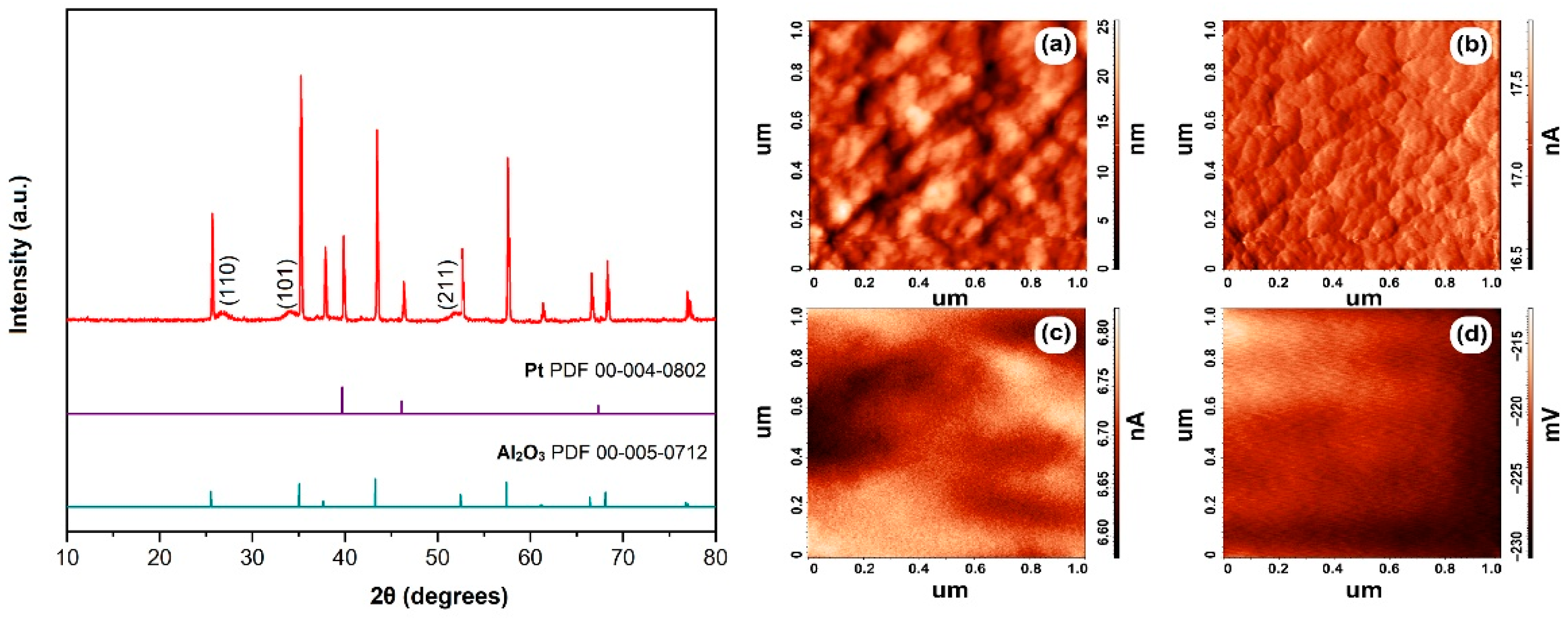 Sensors 22 09800 g005