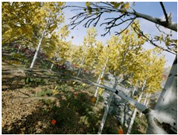 Sensors 22 09830 i072