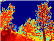 Sensors 22 09830 i077