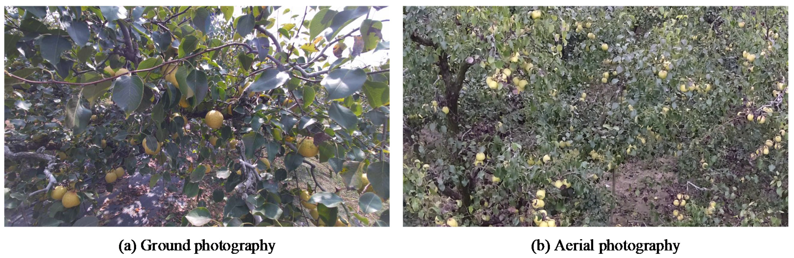 Sensors 23 00030 g001