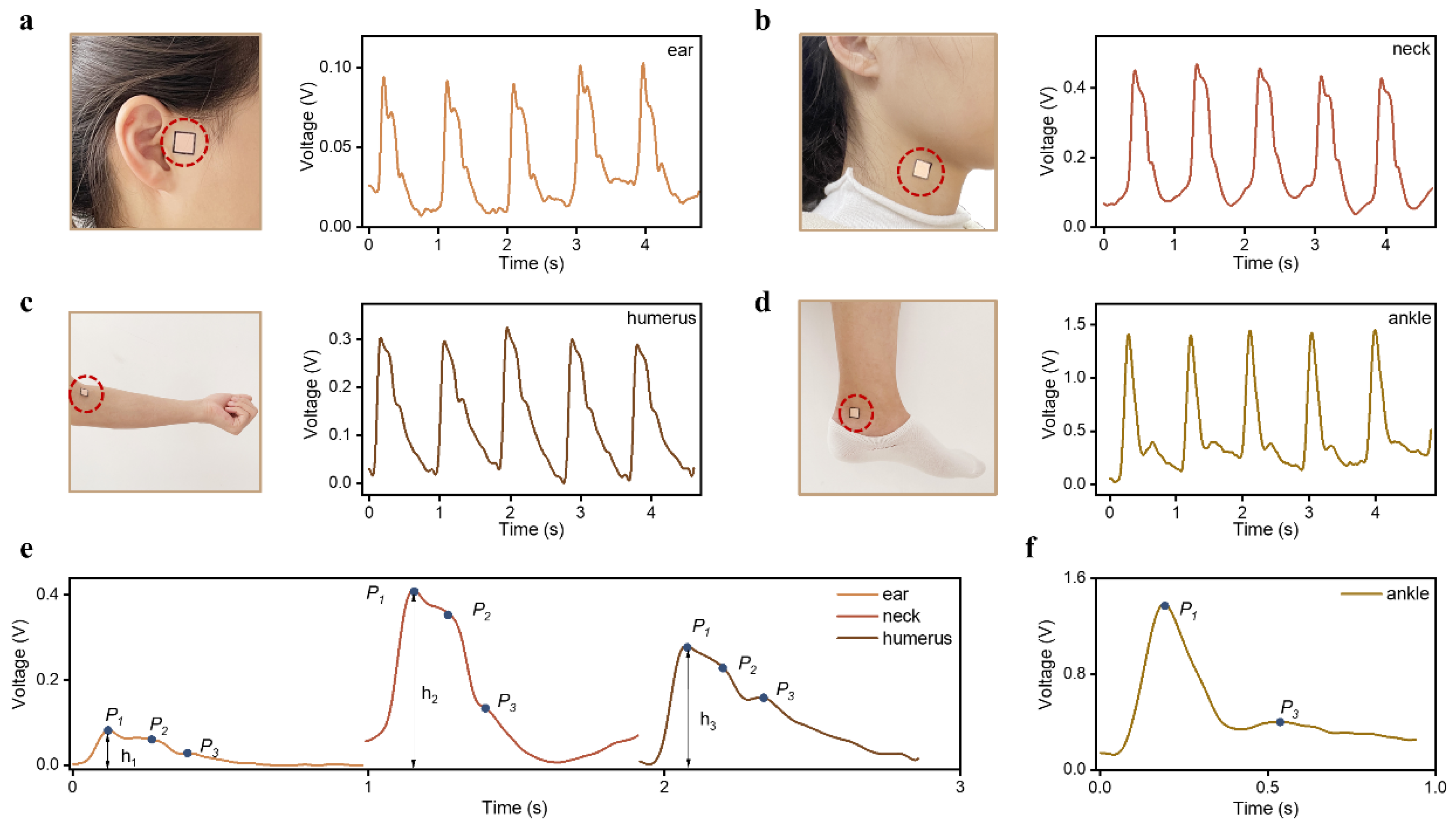 Sensors 23 00045 g004