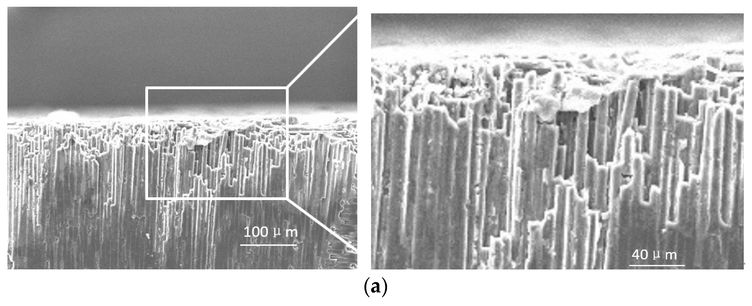Sensors 23 00224 g010a
