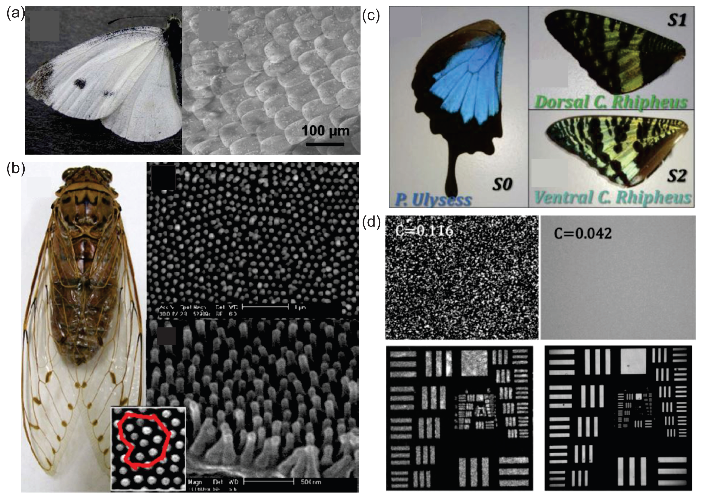 Sensors 23 00247 g005