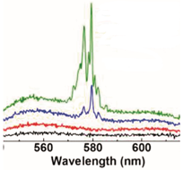 Sensors 23 00247 i010