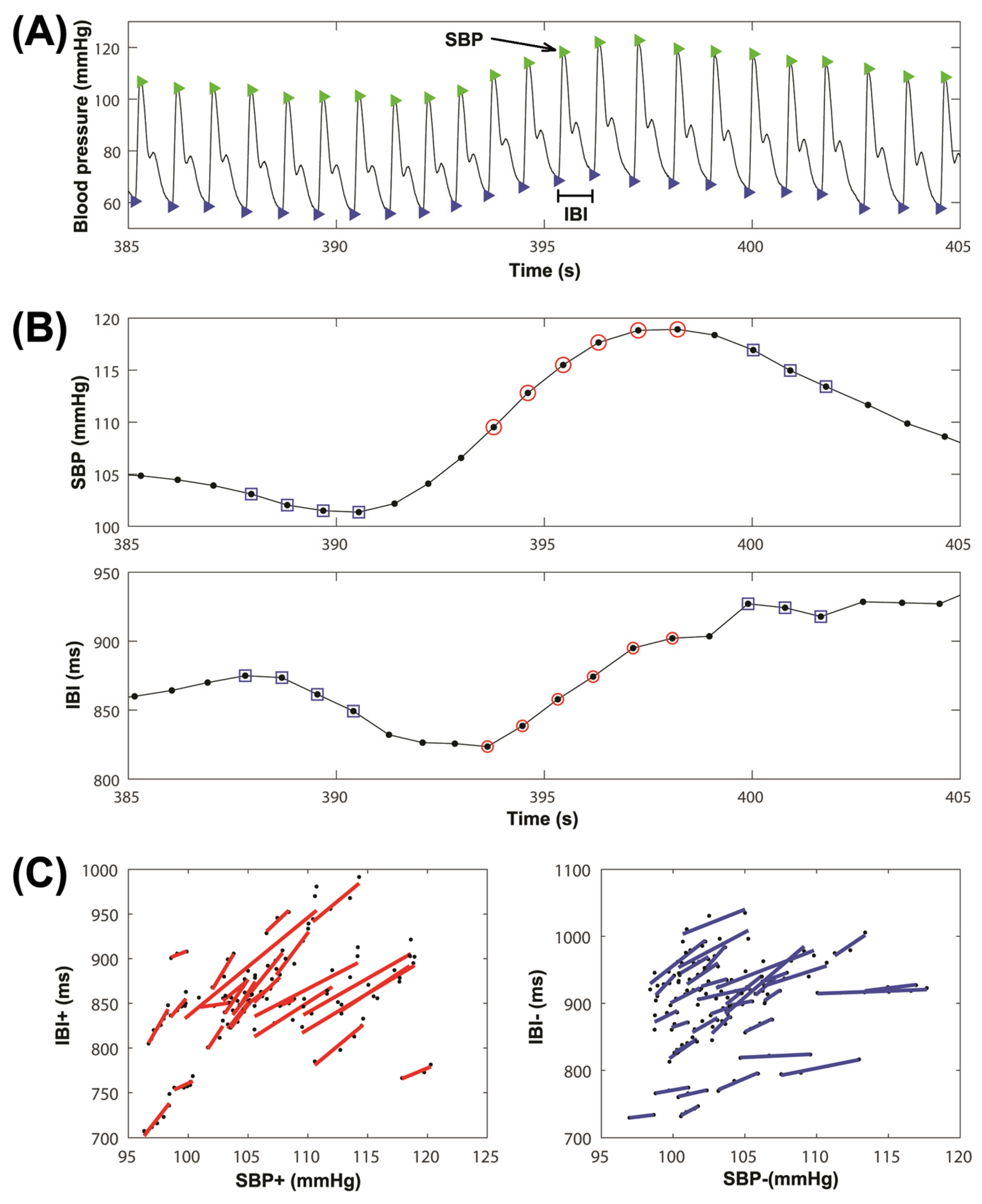 Sensors | Free Full-Text | Baroreflex Sensitivity Assessment Using the  Sequence Method with Delayed Signals in End-Stage Renal Disease Patients