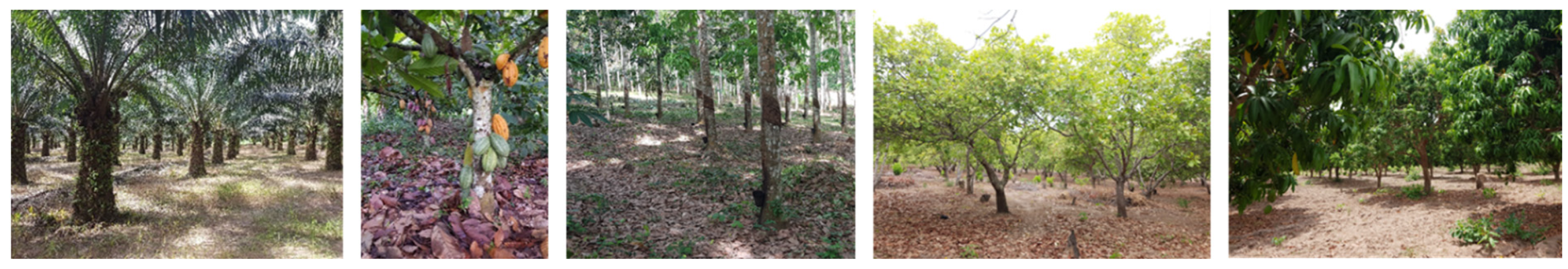 Sensors 23 00349 g002 Sensors 23 00349 g002