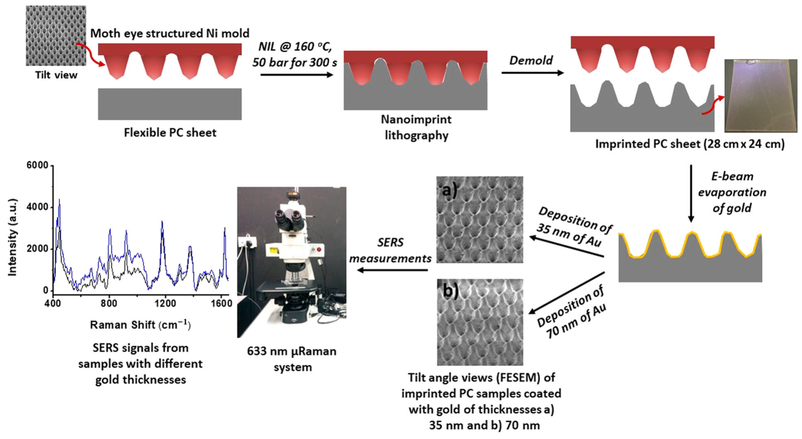 Sensors | Free Full-Text | Plasmonic Biosensors With Nanostructure For ...