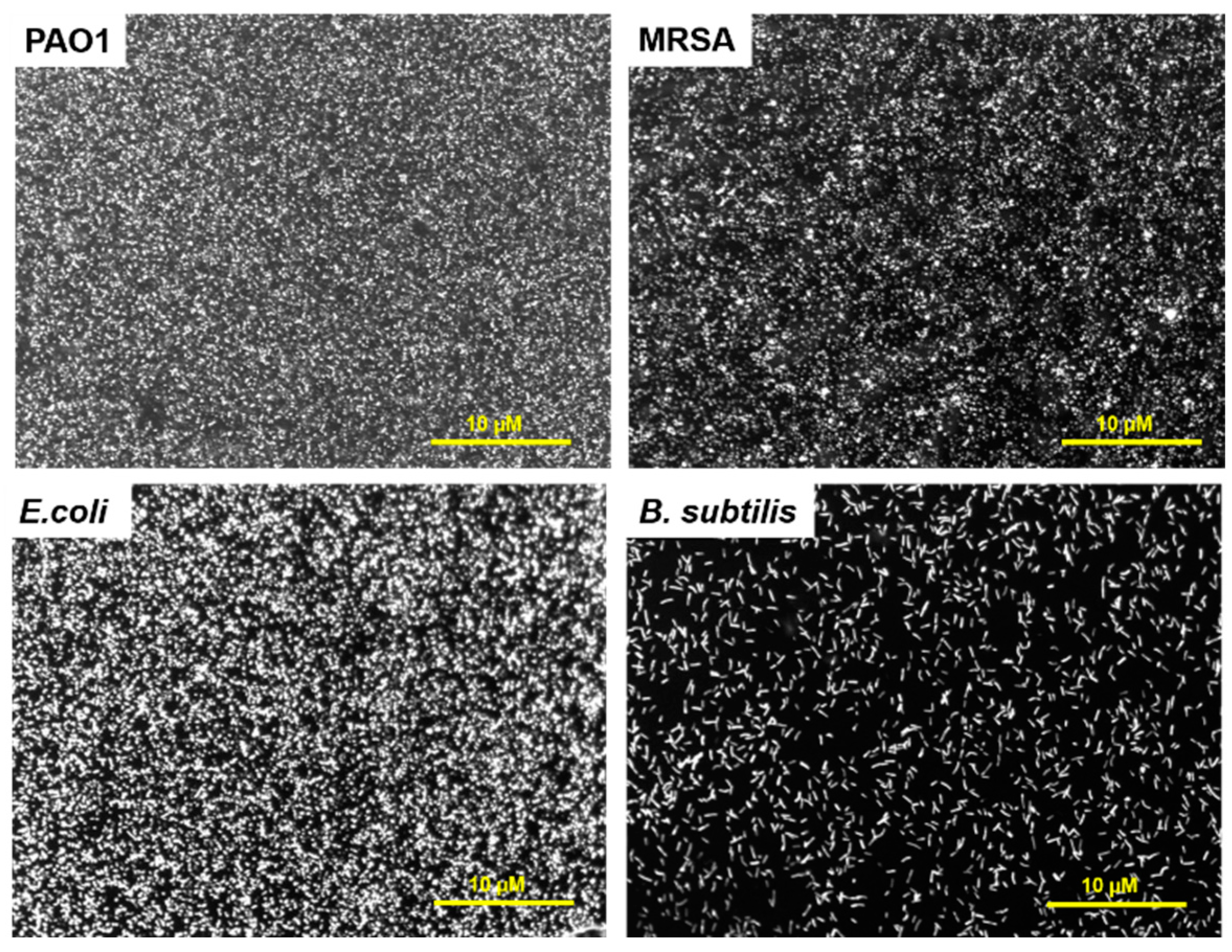 Sensors 23 00561 g004