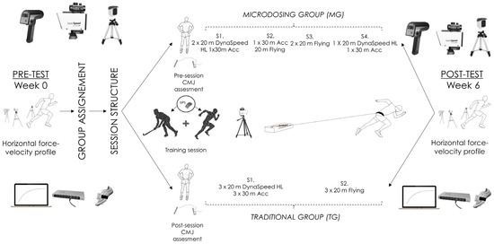 Micro Scale – Microdose Pro