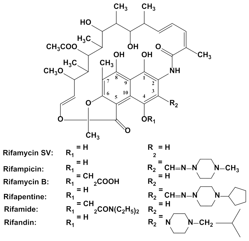 Sensors 23 00976 g001 Sensors 23 00976 g001