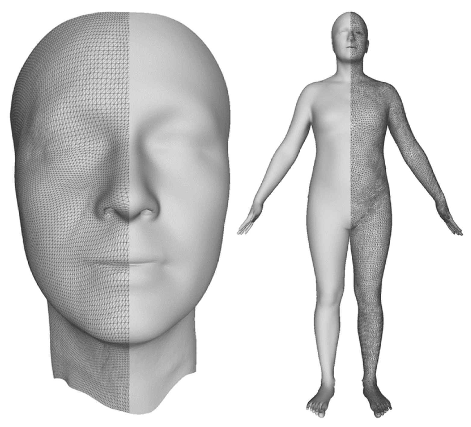 a) A three-dimensional face model displayed by colormap. (b) A