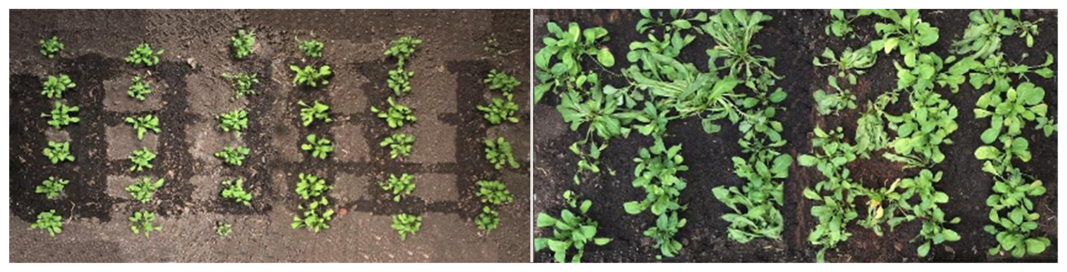 Sensors 23 01318 g011 Sensors 23 01318 g011