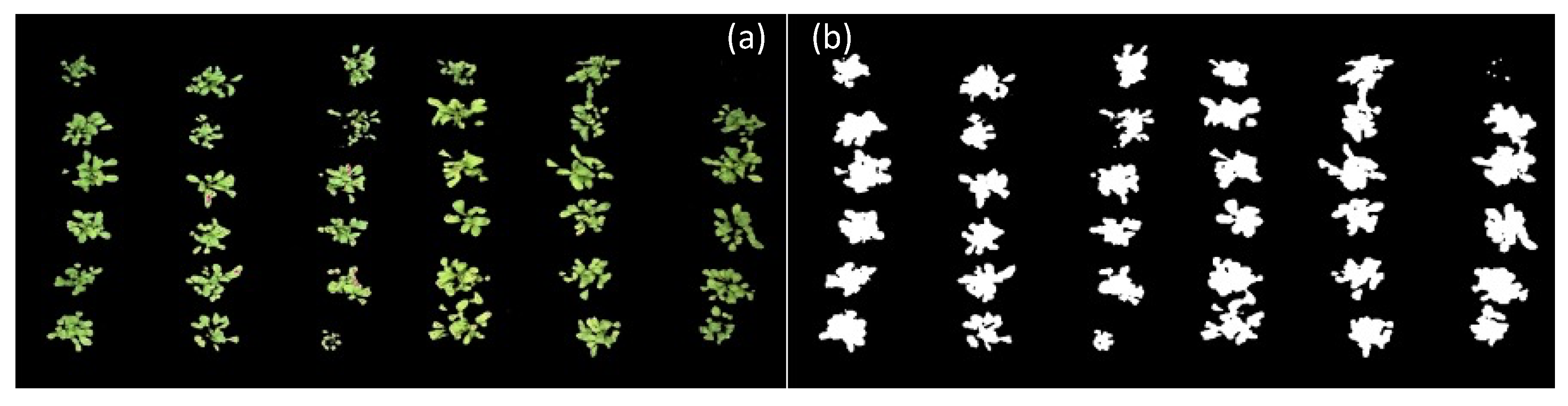 Sensors 23 01318 g012 Sensors 23 01318 g012