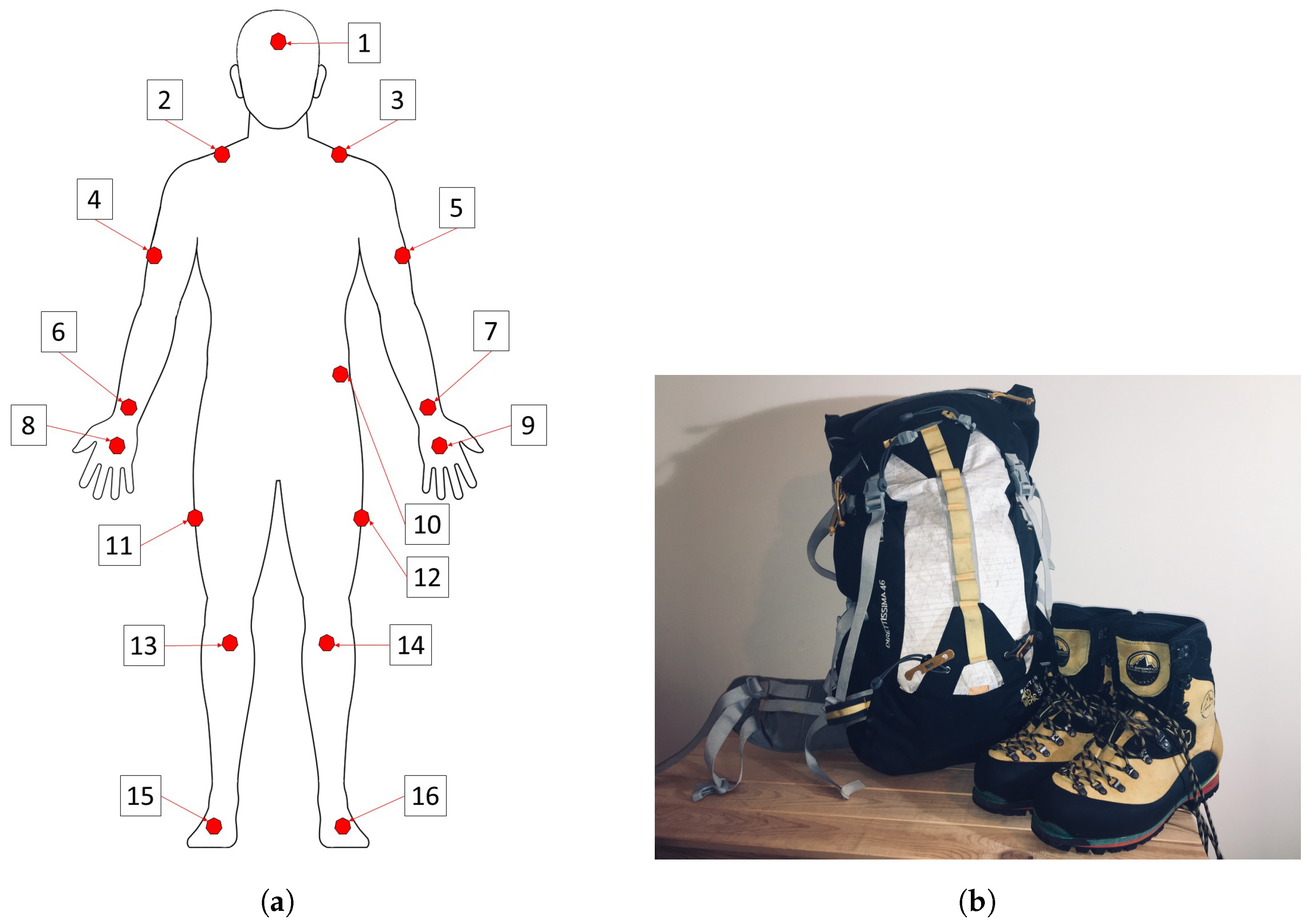 Sensors | Free Full-Text | Effect of Equipment on the Accuracy of  Accelerometer-Based Human Activity Recognition in Extreme Environments