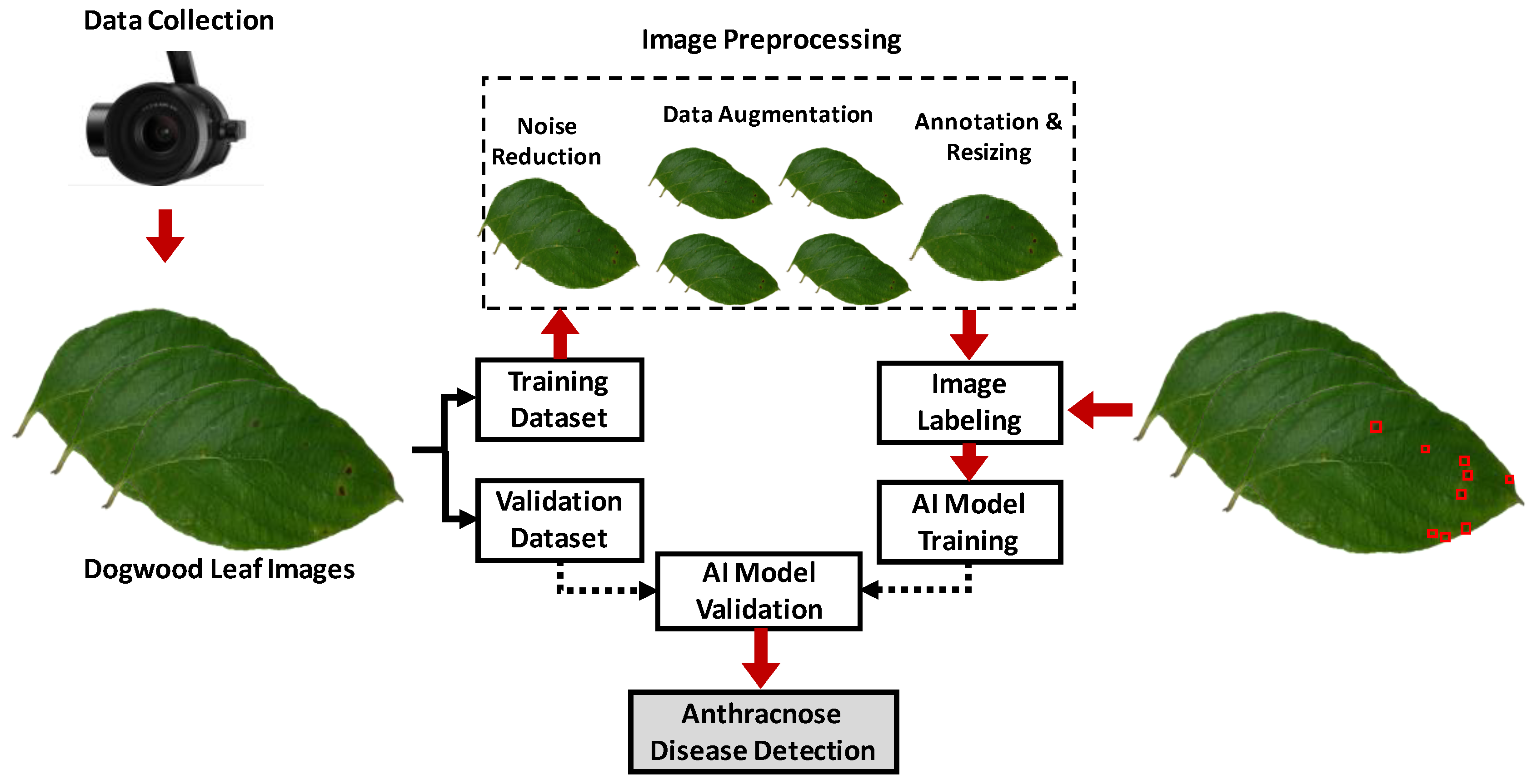Sensors 23 01818 g003