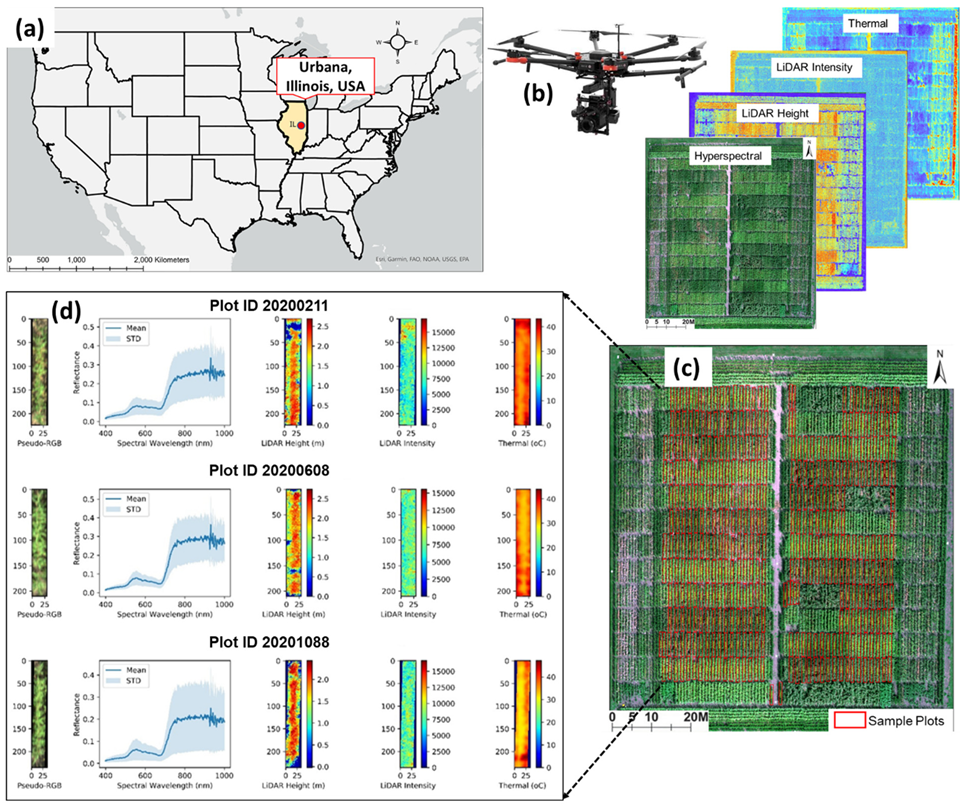 Sensors | Free Full-Text | UAV Multisensory Data Fusion and Multi-Task Deep  Learning for High-Throughput Maize Phenotyping