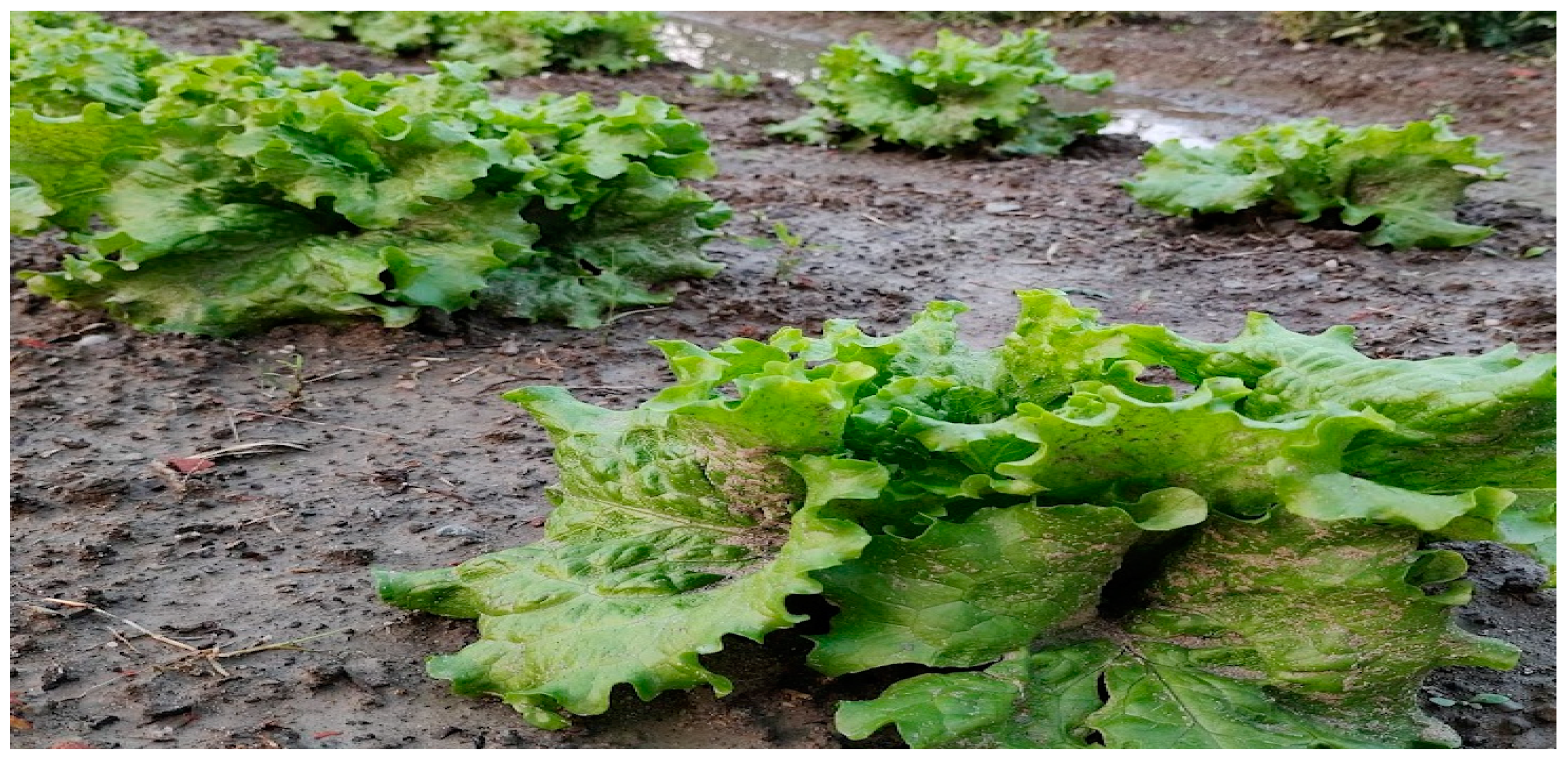 Sensors 23 01875 g003