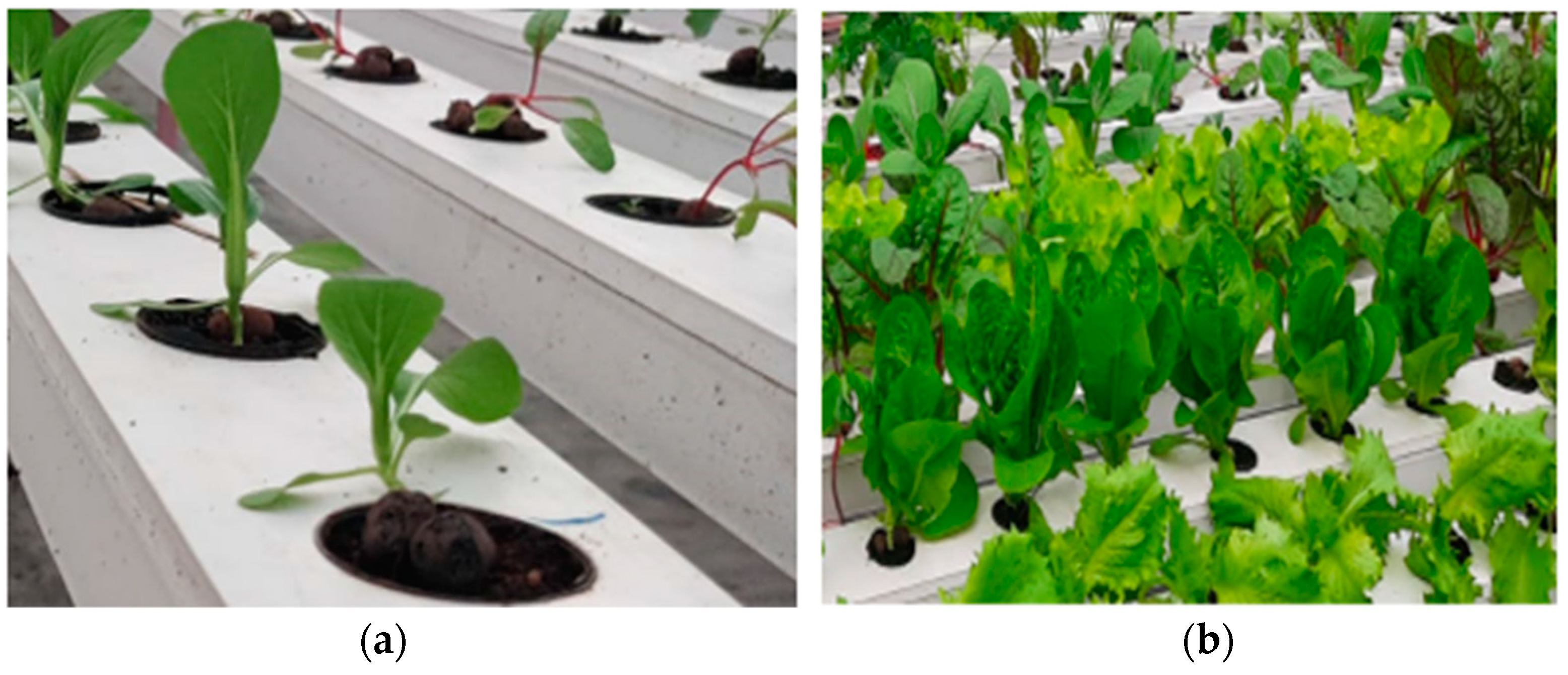 Sensors 23 01875 g004