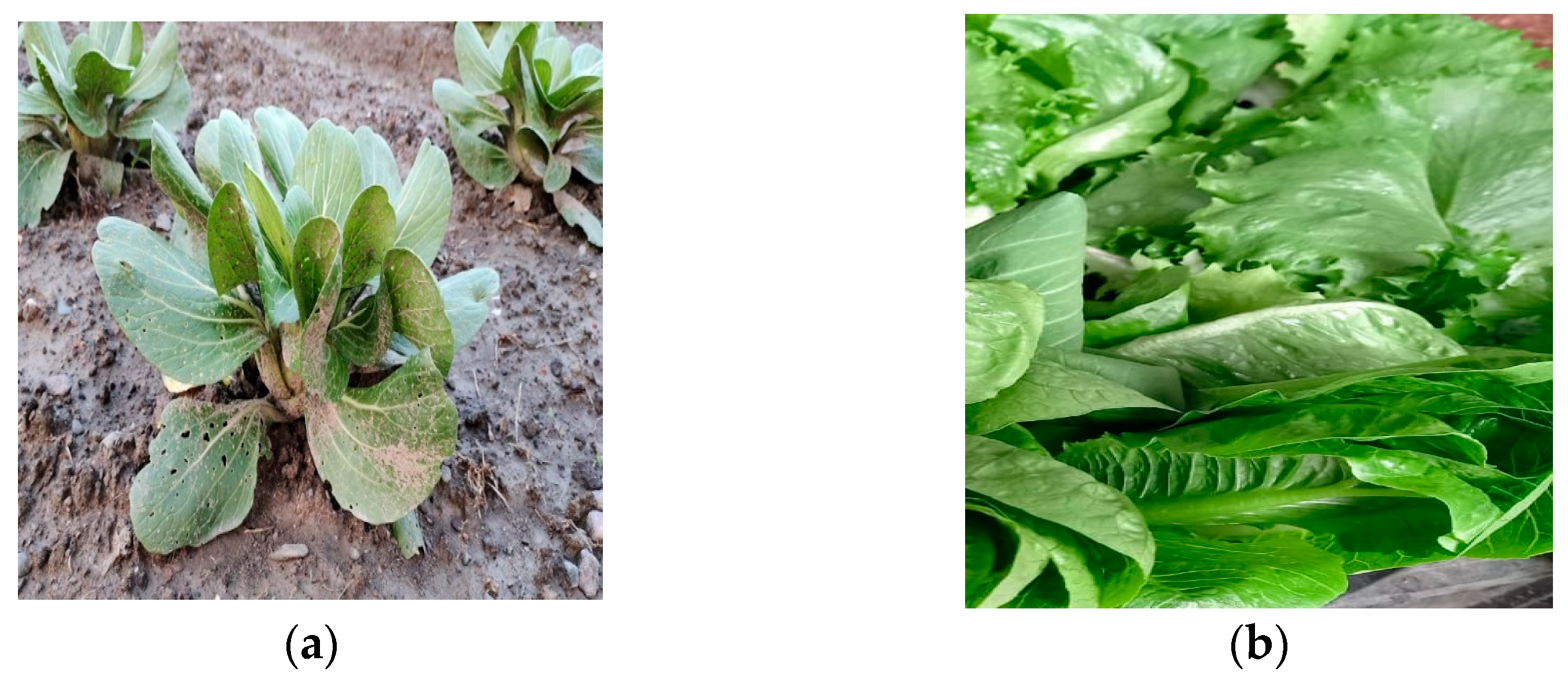 Sensors 23 01875 g011