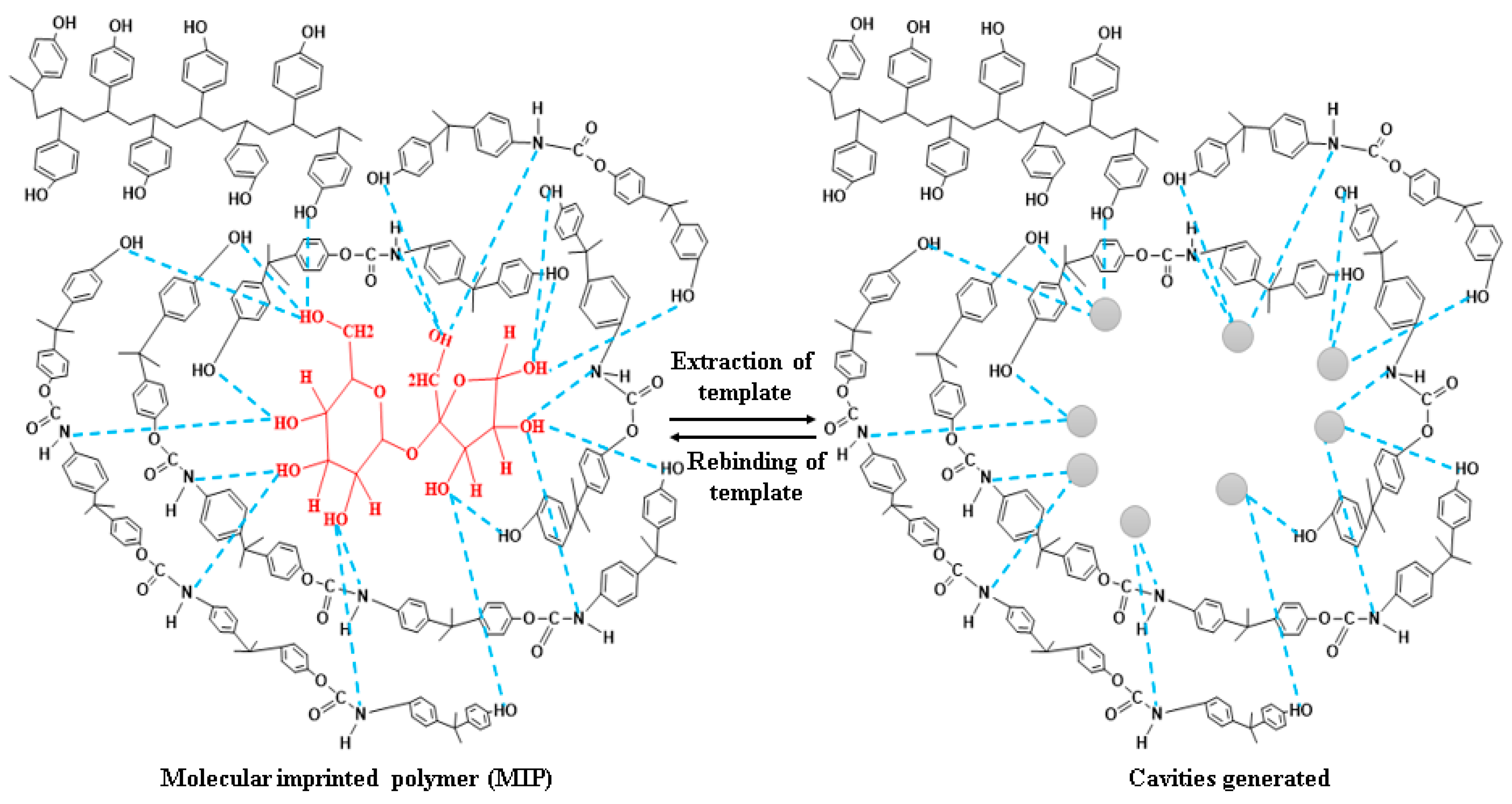 Sensors 23 02008 g006
