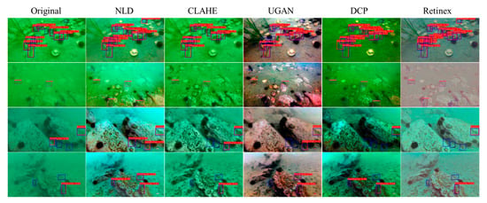 Sensors | Free Full-Text | In Situ Sea Cucumber Detection across ...