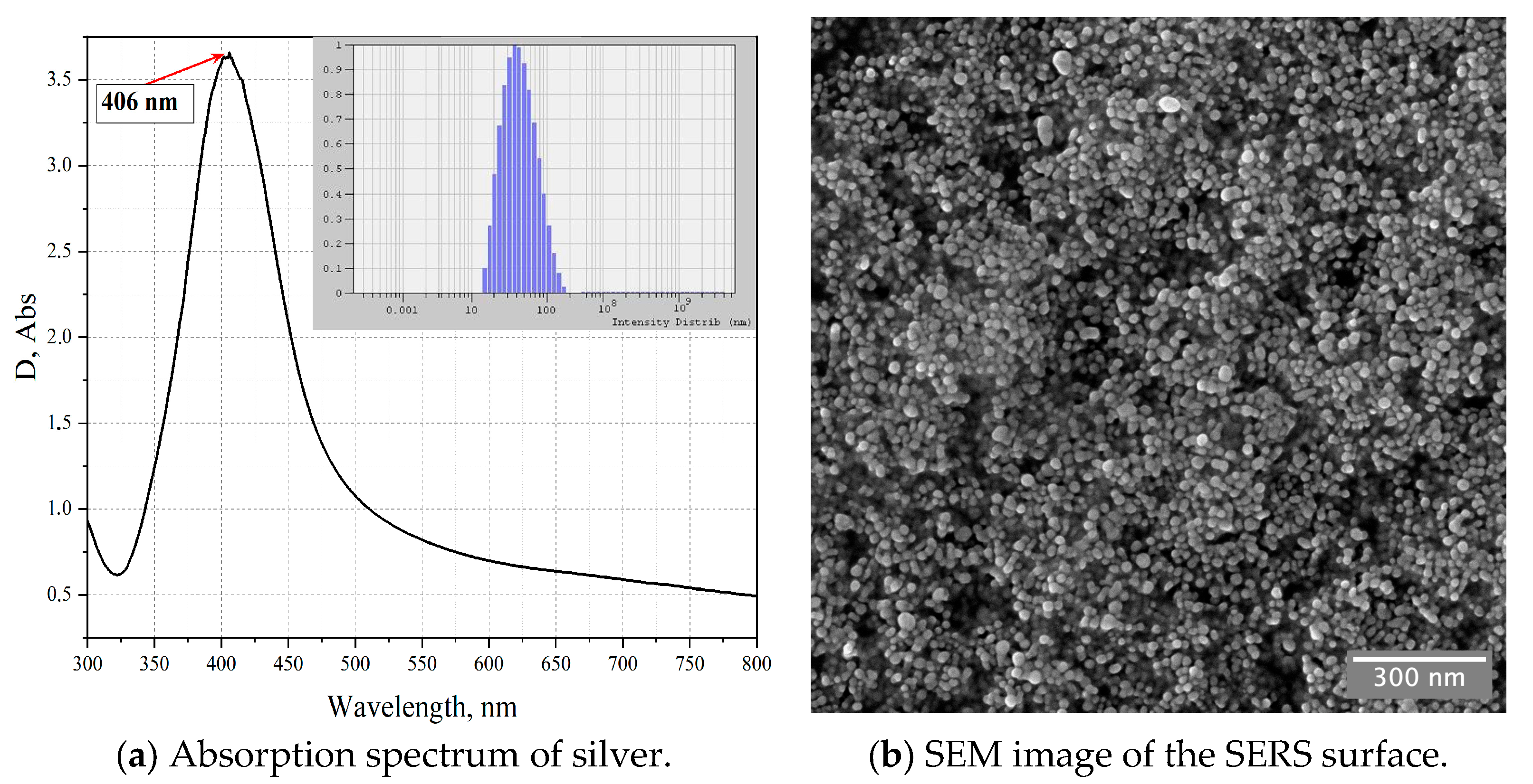 Sensors 23 02161 g002