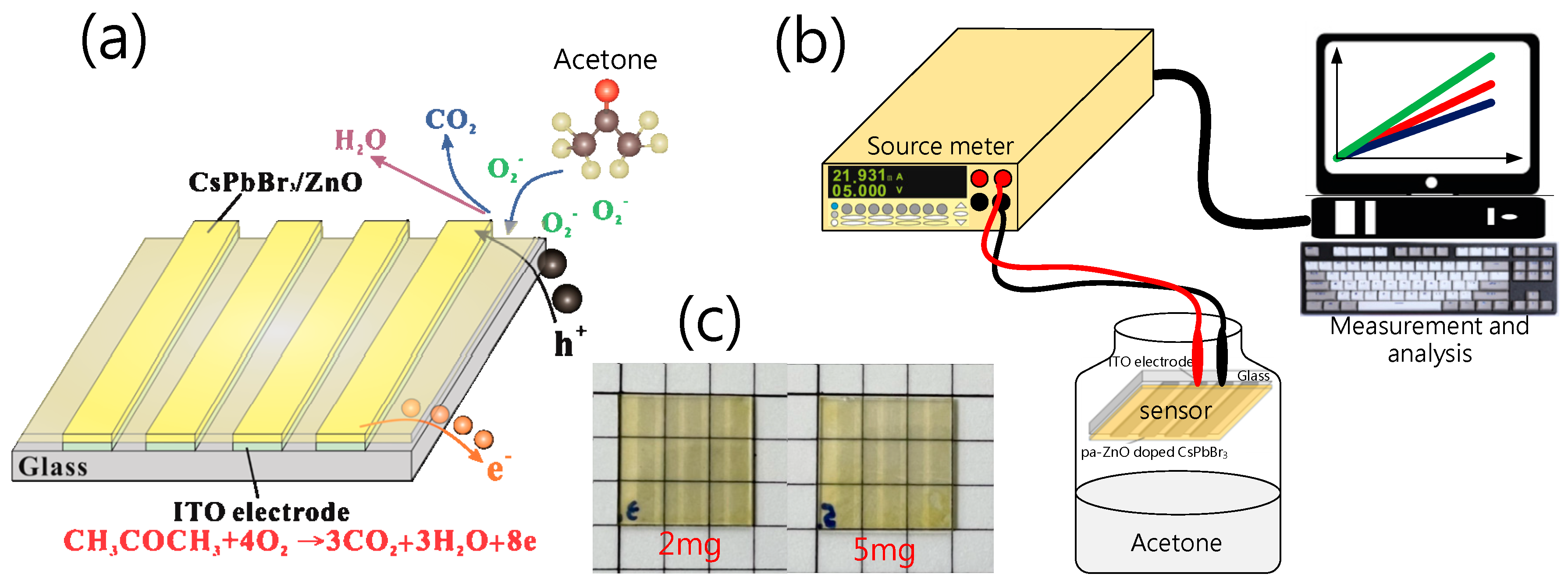 Sensors 23 02164 g001