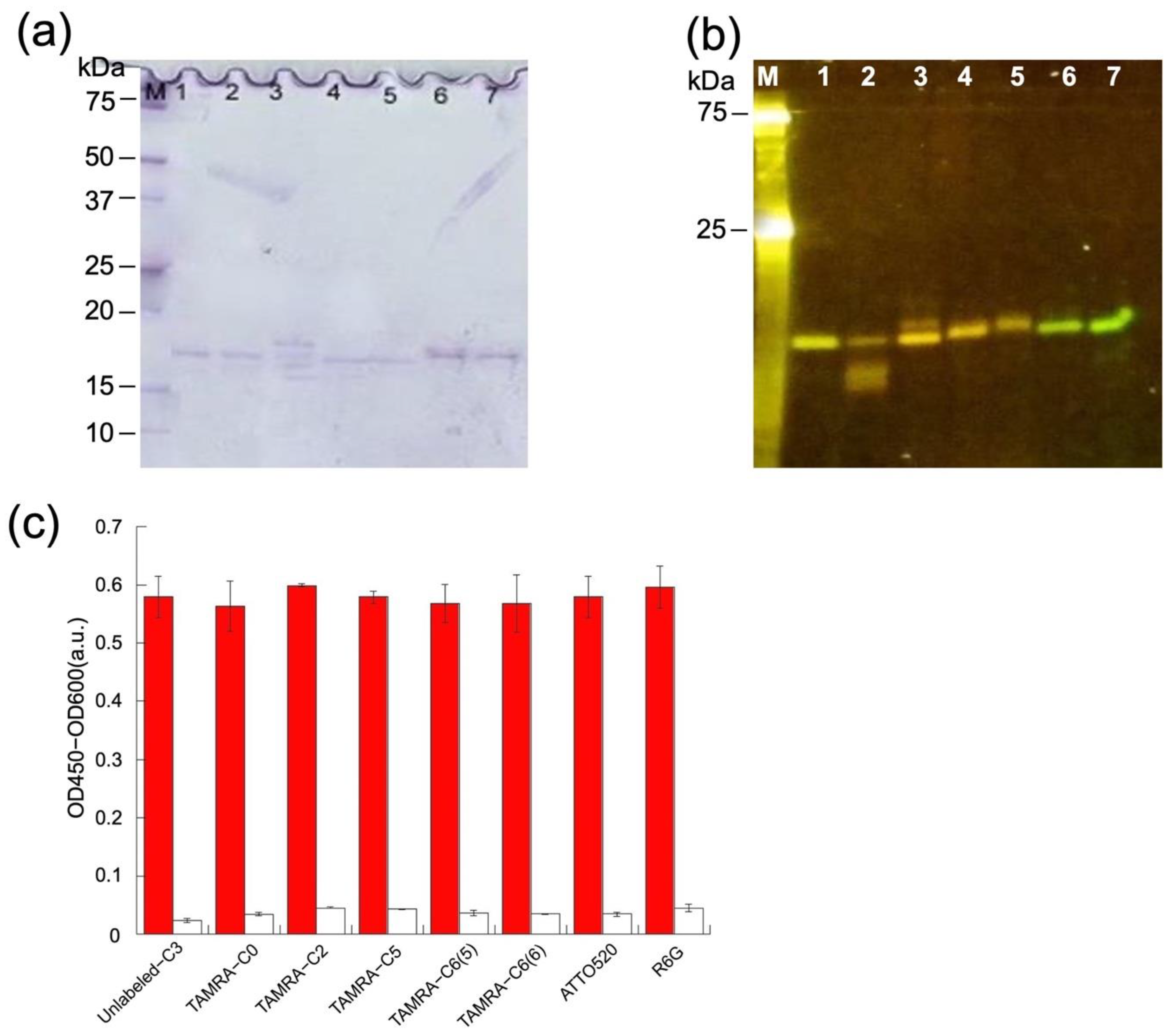 Sensors 23 02251 g003