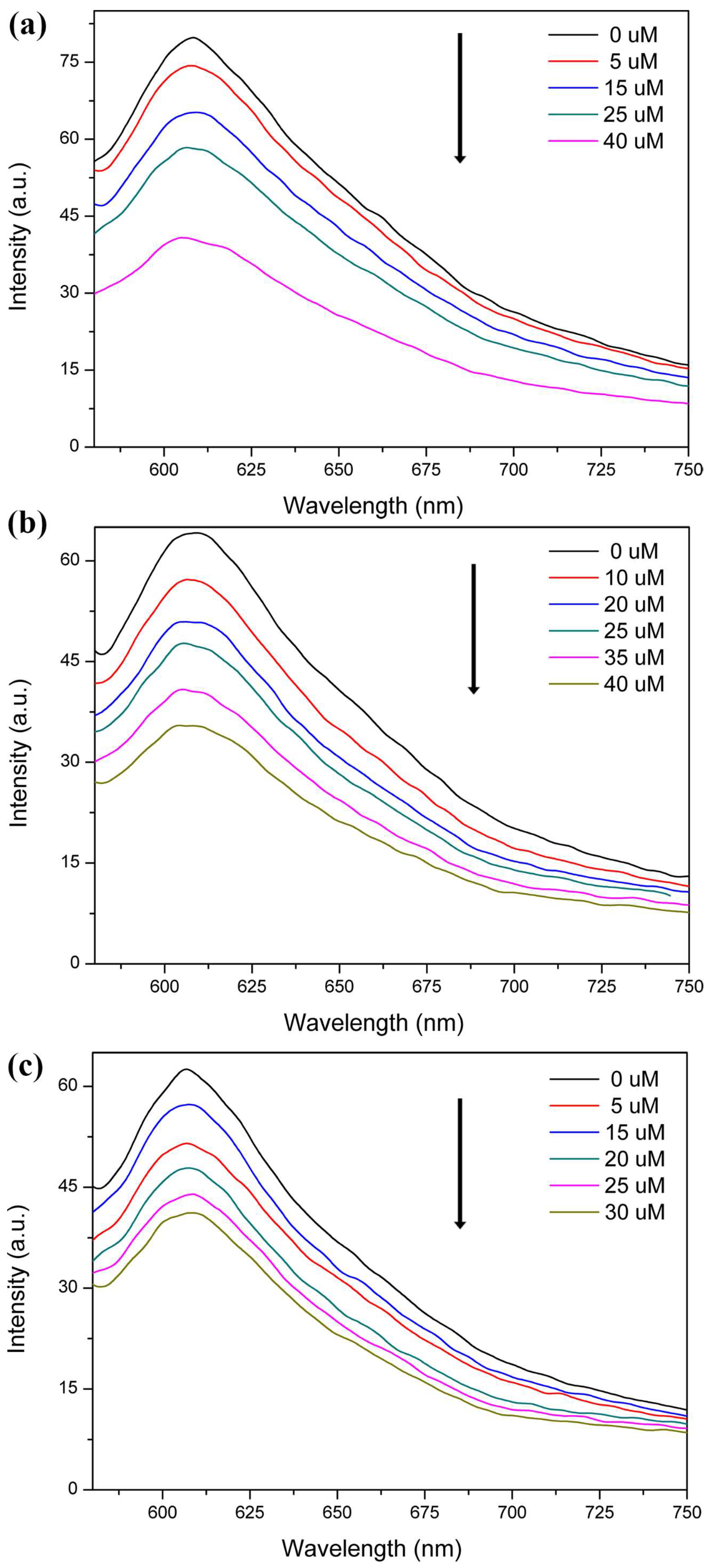 Sensors 23 02420 g006 Sensors 23 02420 g006