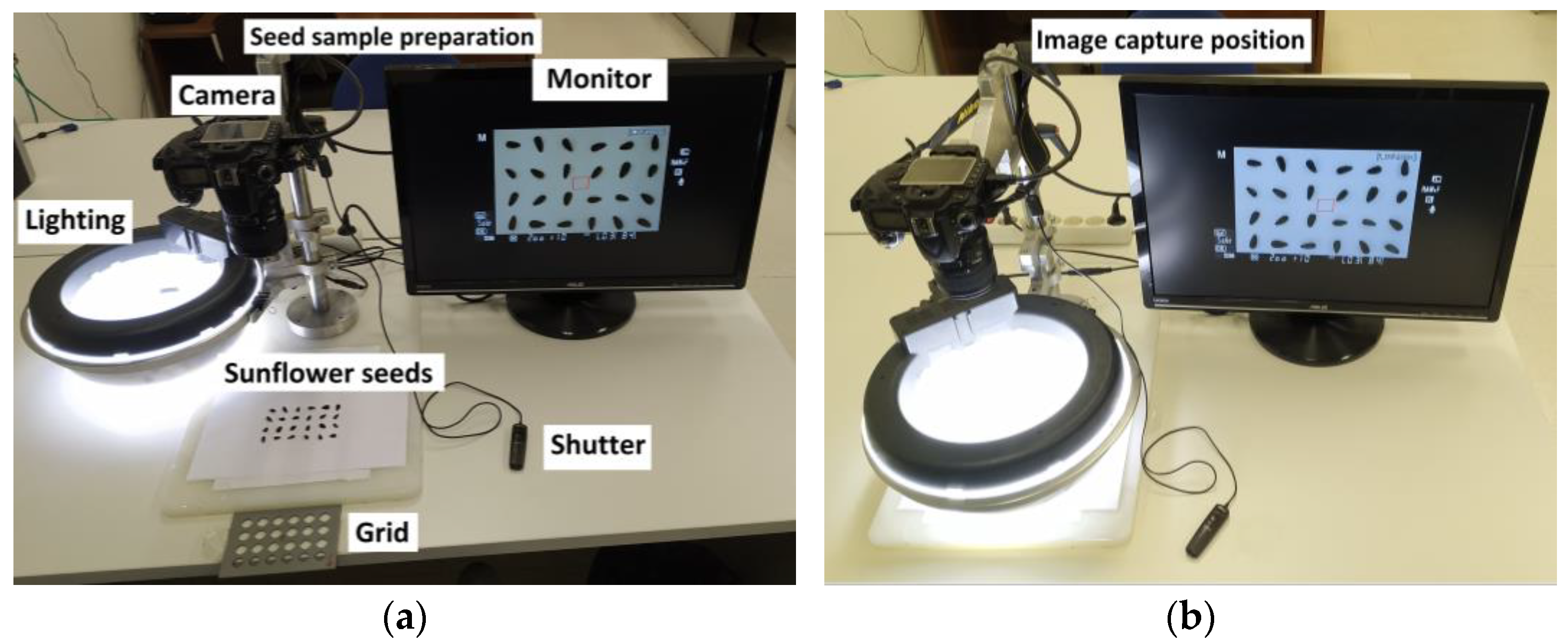 Sensors 23 02471 g003a Sensors 23 02471 g003a