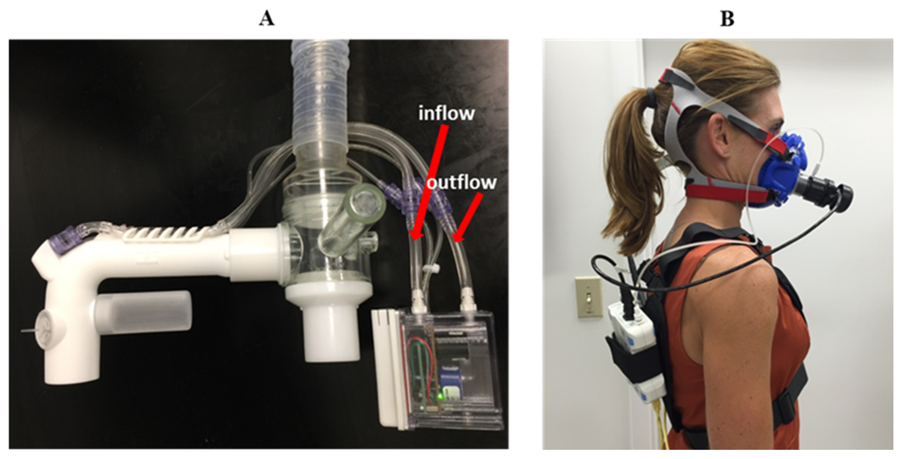 Sensors | Free Full-Text | Using a Contemporary Portable Metabolic Gas  Exchange System for Assessing Energy Expenditure: A Validity and  Reliability Study