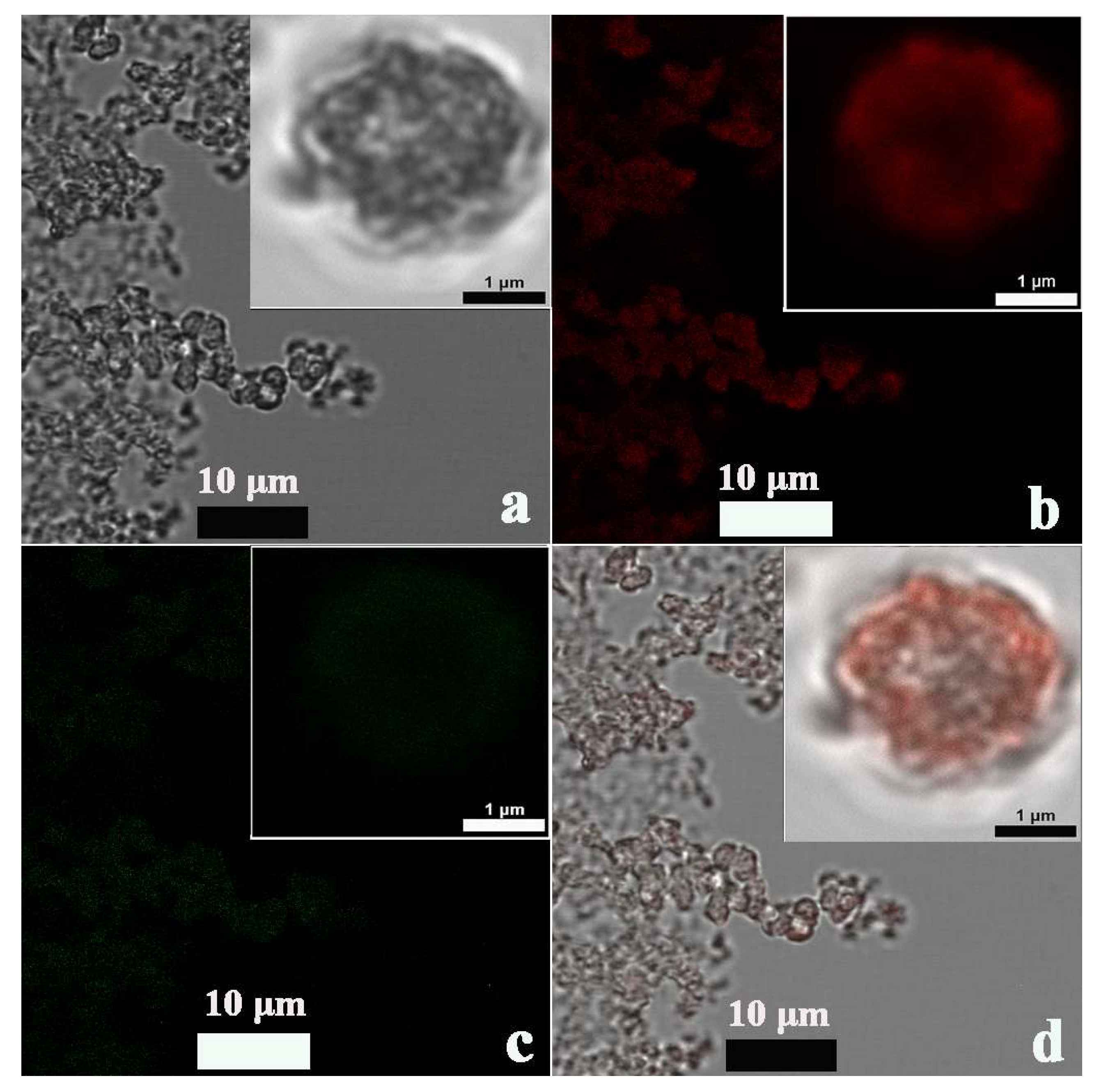 Sensors 23 02779 g002