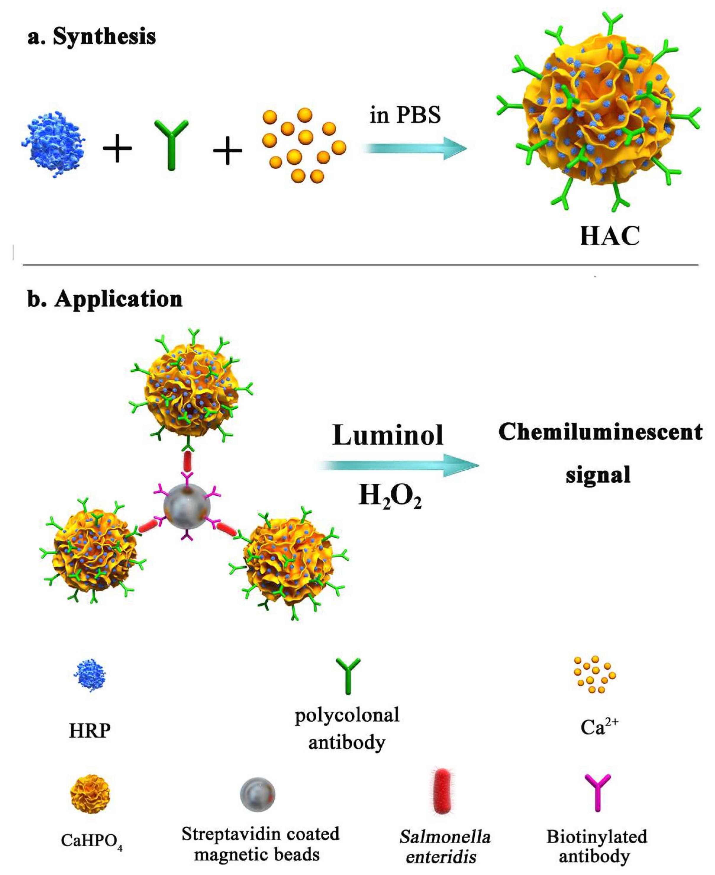 Sensors 23 02779 sch001